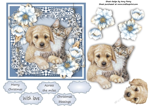 Gorgeous Brown Dog & Cat With Blue Festive Flowers 6x6