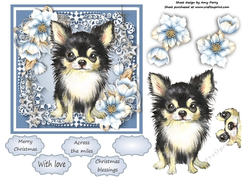 Gorgeous Black Chihuhua With Blue Festive Flowers 6x6