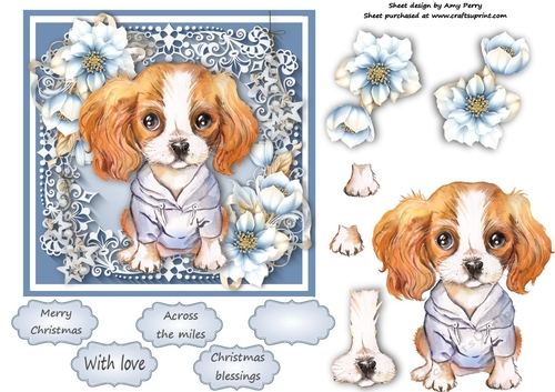 Gorgeous Cavalier With Blue Festive Flowers 6x6