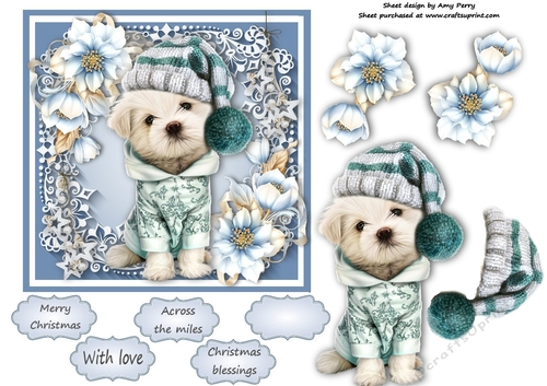 Gorgeous Dog In A Bobble Hat  With Blue Festive Flowers 6x6