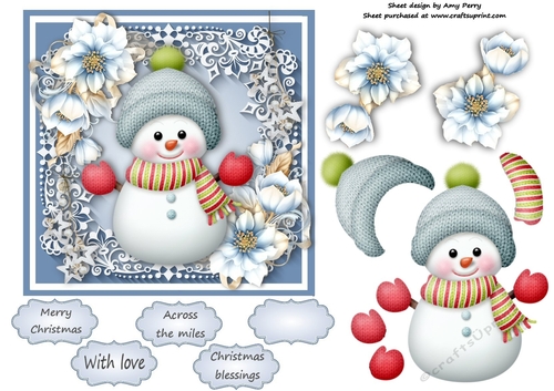 Gorgeous Snowman In A Bobble Hat  With Blue Festive Flowers 6x6