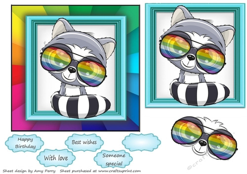 The Rainbow Animal Collection Raccoon 6x6 