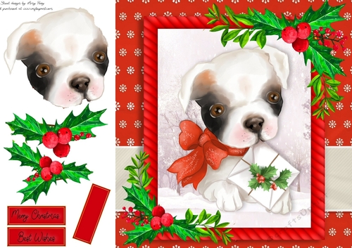 Gorgeous Dog With Holly 8x8