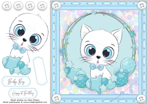 Cute Baby Boy Cat 8x8