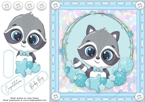 Cute Baby Boy Raccoon 8x8