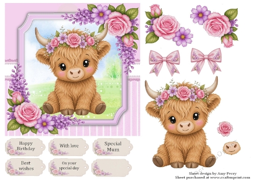 Cute highland cow with pink roses 6x6