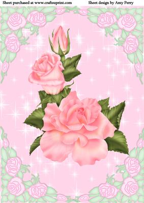 Beautiful Pink Rose