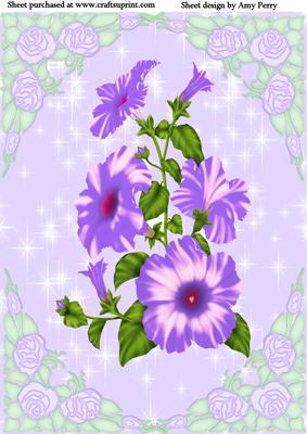Beautiful Purple Rose