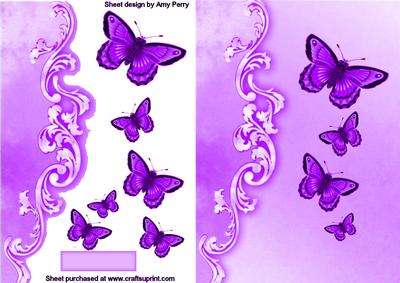 Beautiful Purple Butterflies