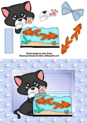 Cute Black & White Cat with Gold Fish Tank