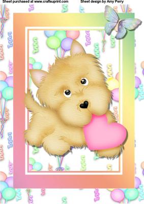 Cute Dog in Lovely Coloured Frame
