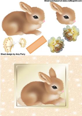 Cute Little Fluffy Brown Rabbit in Peach Frame