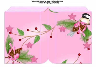 Cute Little Bird on a Pine Comb Book Card