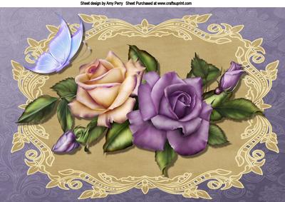 Lovely Purple & Cream Rose's A4