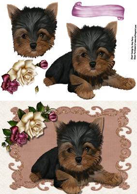 Cute Yorkie Puppy