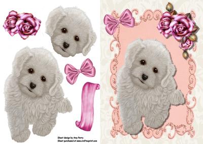 Cute Fluffy White Puppy in Pink Frame