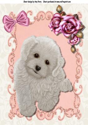 Cute Fluffy White Puppy in Pink Frame A4