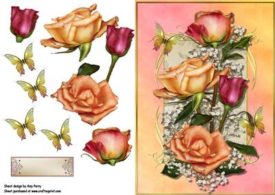 Lovely Peach and Pink Roses