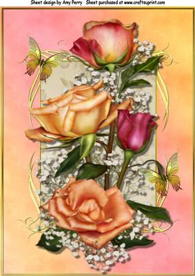 Lovely Peach and Pink Roses A4