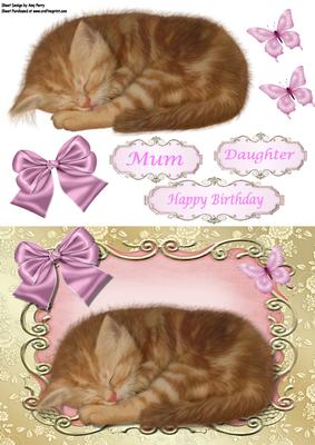 Lovely Ginger Kitten in Pink Ornate Frame