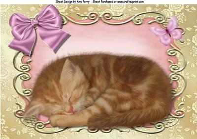 Lovely Ginger Kitten in Pink Ornate Frame A4