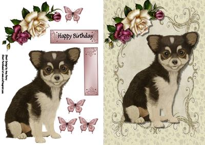 Cute Chihuahua Puppy