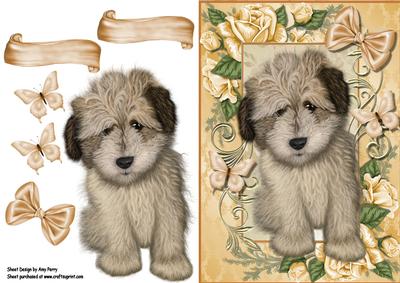 Fluffy Cream & Brown Puppy