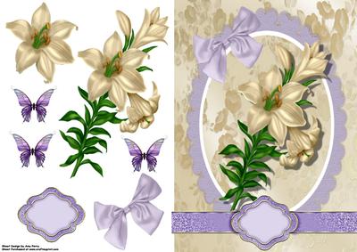 Lovely Cream Lilly's