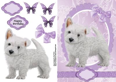 Cute Westie Puppy