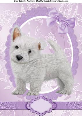 Cute Westie Puppy A4