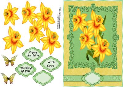 Beautiful Bouquet of Daffodils