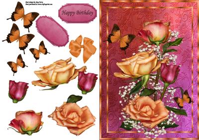 Beautiful Peach & Red Rose's