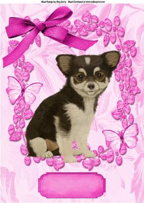 Gorgeous Puppy in Hot Pink Glitter Frame A4
