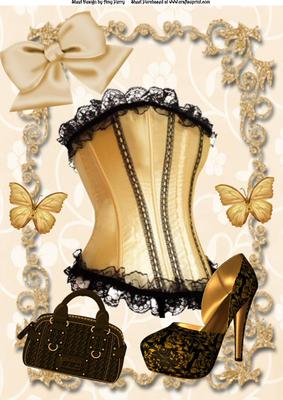 Beautiful Gold & Black Corset with Shoe & Handbag A4