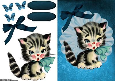 Beautiful Kitten in Frill Frame