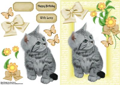 Cute Grey Kitten with Yellow Flowers