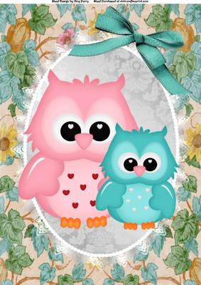 Cute Pink & Blue Owl in Silver Oval Frame A4