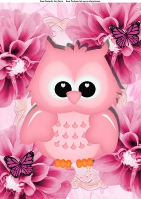 Cute Pink Owl on Large Pink Rose's A4