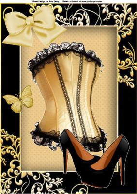 Lovely Gold Corset & Black Pair of Shoe's A4