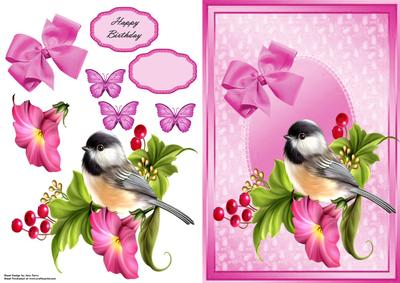 Lovely Little Bird in Pink Oval Lace Frame