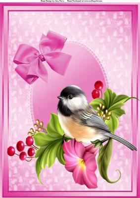 Lovely Little Bird in Pink Oval Lace Frame A4