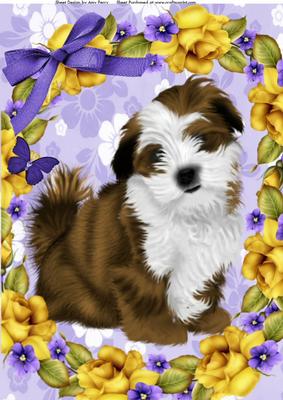 Lovely Brown & White Fluffy Pup in Yellow Rose Frame A4