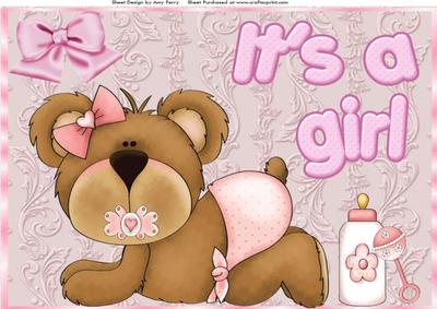 Baby Girl Teddy Bear A4