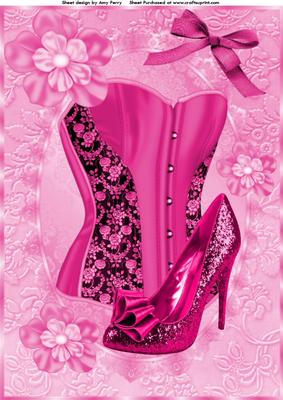 Beautiful Hot Pink Corset & Shoe A4