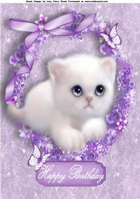 Gorgeous Fluffy White Kitten in Purple Floral Frame A4
