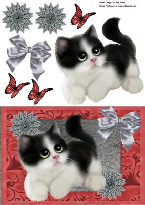 Cute Black & White Kitten with Grey Flowers