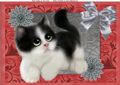Cute Black & White Kitten with Grey Flowers A4