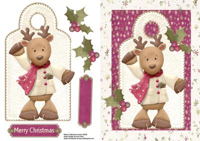 Lovely Reindeer in His Winter Coat