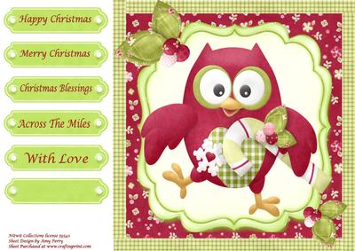 Lovely Red Owl with Candy Cane 8x8