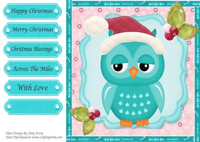 Lovely Unimpressed Turquoise Owl 8x8